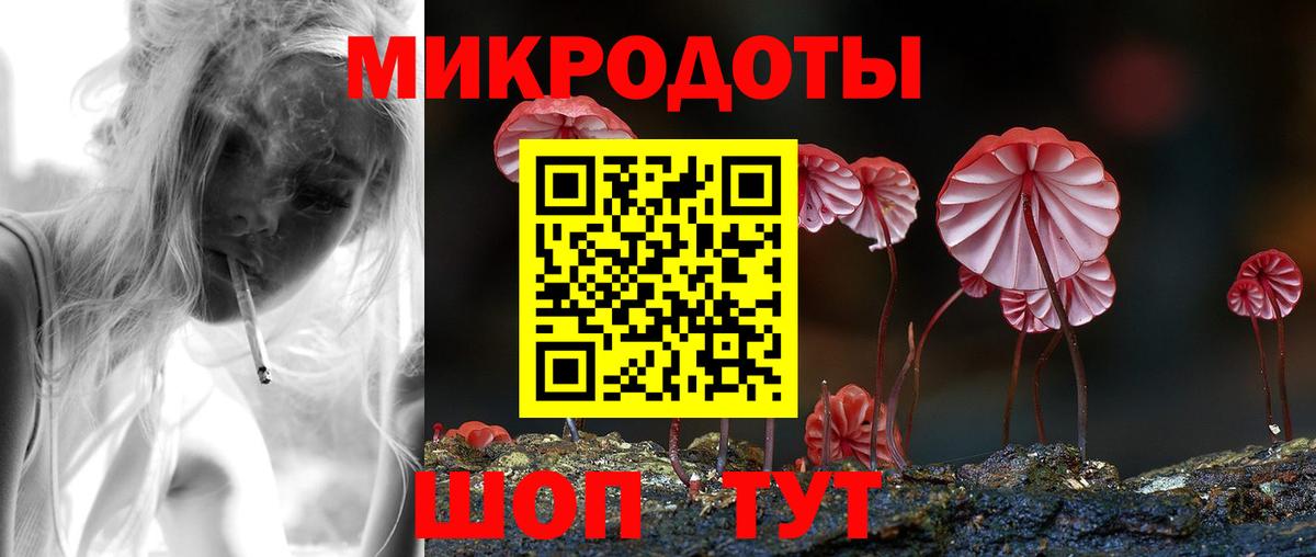 Касимов  Псилоцибиновые грибы Psilocybe  наркотики  Вход с VPN 